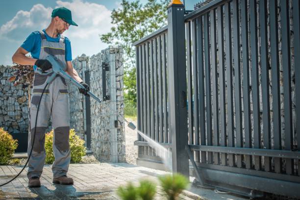 Animal Enclosure Cleaning in Shafer, MN
