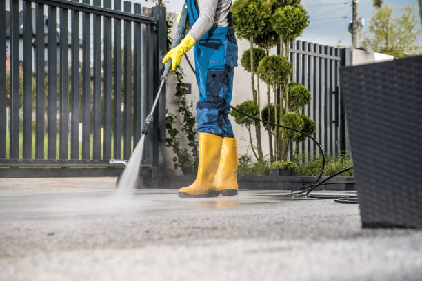 Trusted Shafer, MN Pressure Washing Services Experts